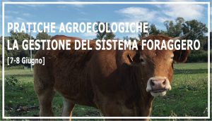 Pratiche Agroecologiche A4 0