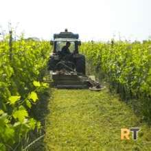 29 luglio  incontro tecnico crpv su vigneti biologici e biodinamici