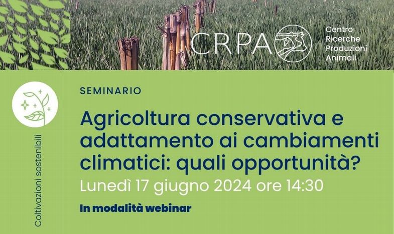 AGRICOLTURA CONSERVATIVA