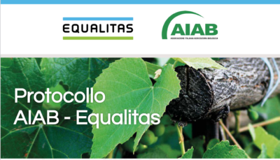 AIAB EQUALITAS