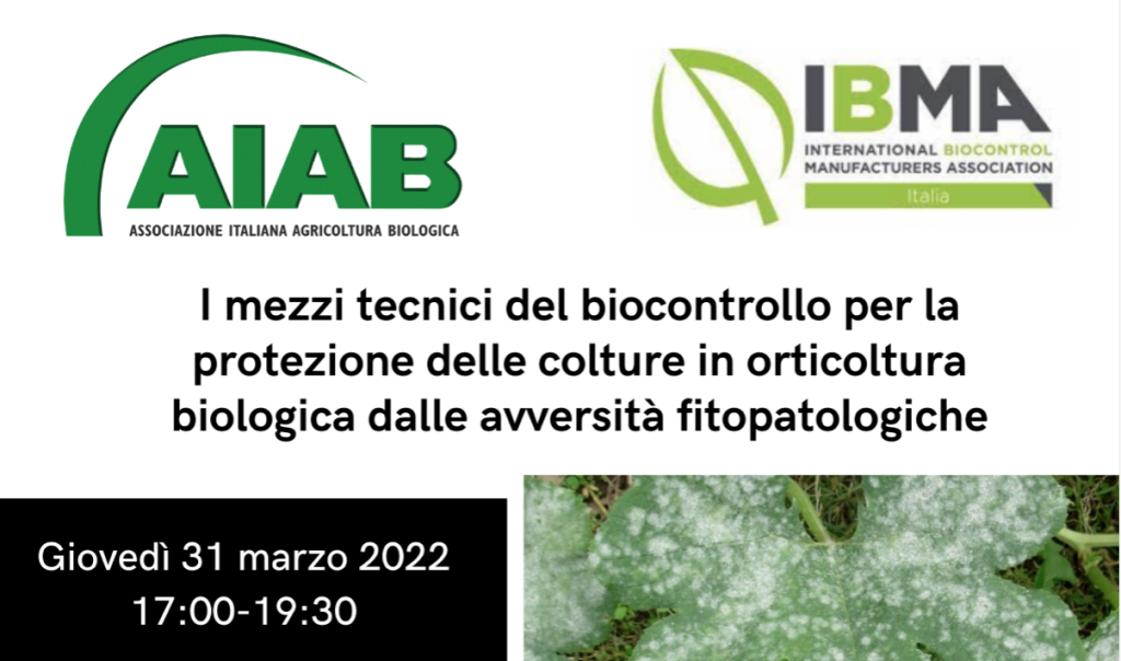 AIAB Seminario 0