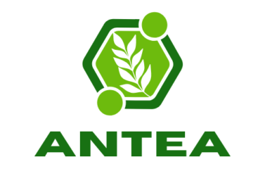 ANTEA 2