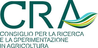 CRA 0