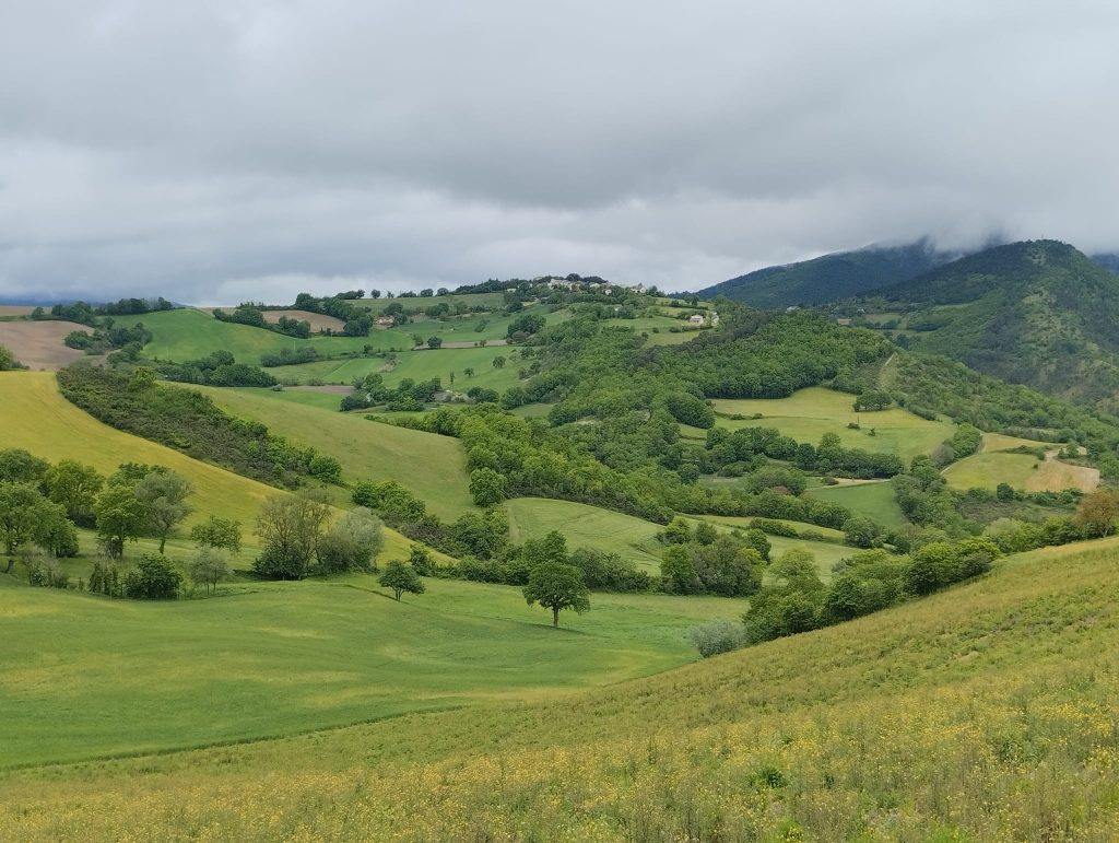 Campagna Marchigiana Genga Angelini 1 1