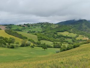 Campagna Marchigiana Genga Angelini 1 1