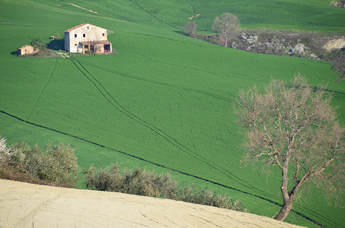 Campi bio marche