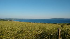 Campo sul lago di Bracciano 2 1 scaled