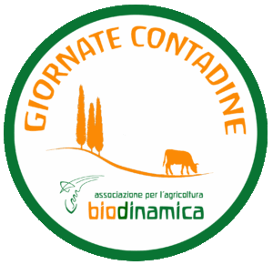 Giornate Contadine 5 300x291 1