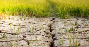 Land Degradation