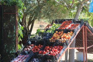 Mercatino frutta PIXA Grat