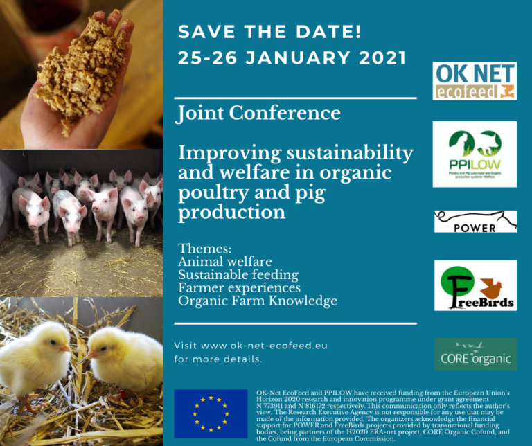 OK NET ECO SAVE DATE