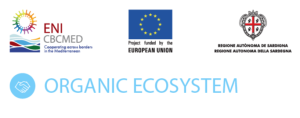 Organic Ecosystem 2