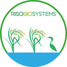 RISOBIO SYSTEM