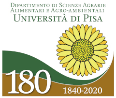 UNIVERSITA di PISA