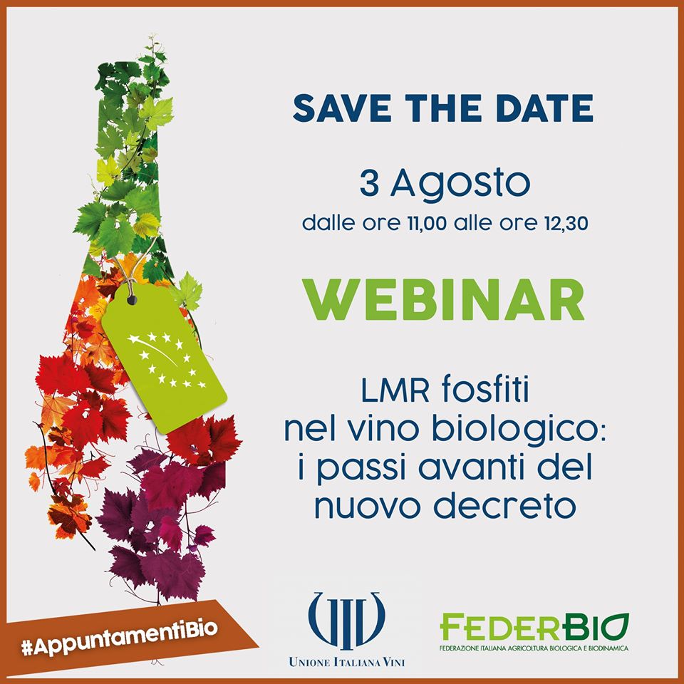 VINO WEBINAR