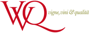 VVQ 1