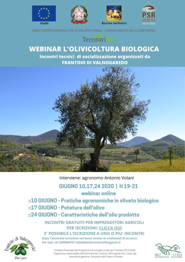 WEBINAR OLIVICOLTURA