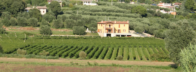 azienda agricola2 1