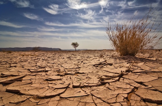 cambiamenti climatici