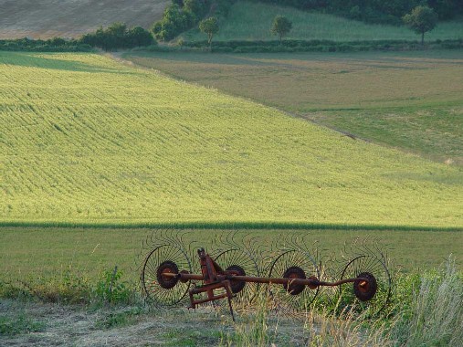 campo e aratro 1