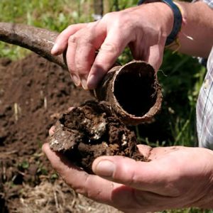 corno letame biodinamica
