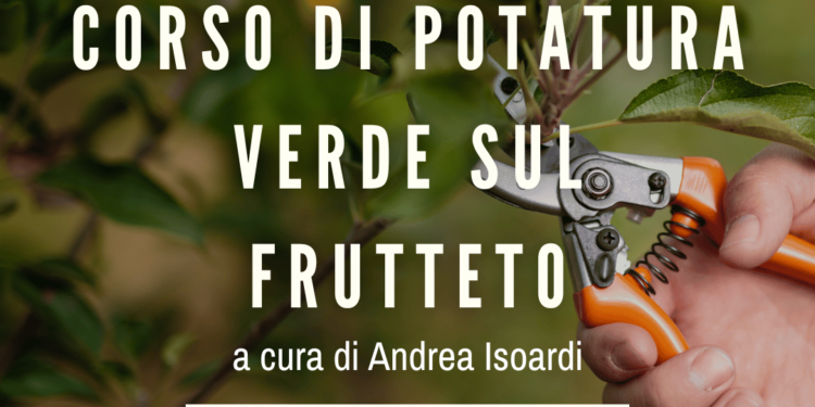 corso potatura verde 6 luglio