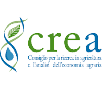 crea 6