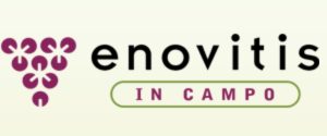 enovitis