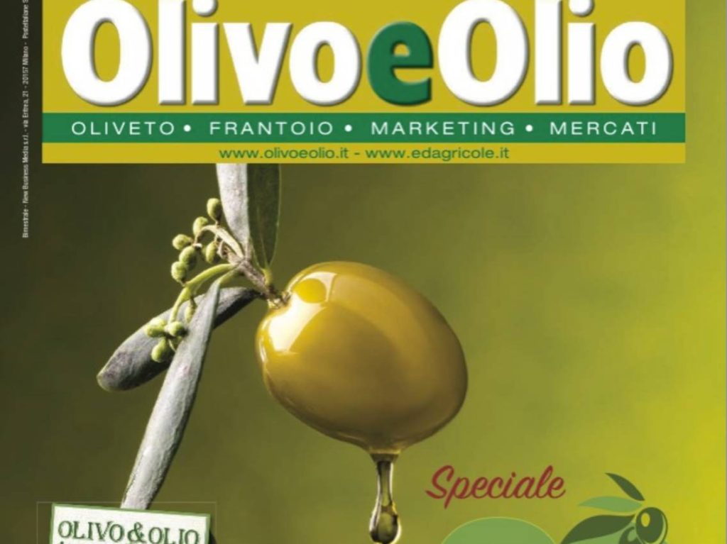 olivo e olio 1