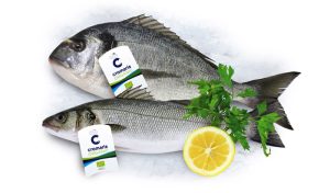 pesce bio