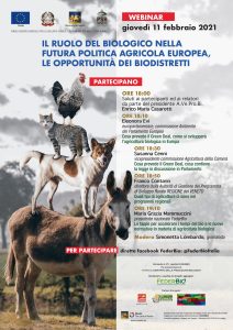 webinar201120febb20202120seconda20ondata scaled