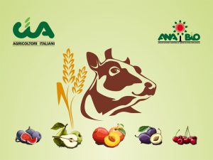 workshopcia anabioaterramadresal 092af85234