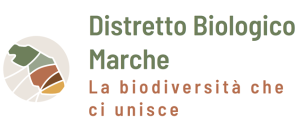 BIODISTRETTO MARCHE