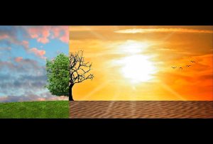 Cambiamenti climatici