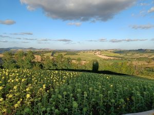 Campagna filo dalla croce 29-7-25