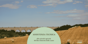 Assistenza_tecnica_bio_distretto