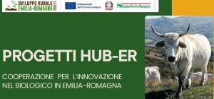 Progetti Huber