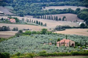Toscana campagna 2