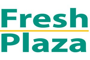 FRESH PLAZA