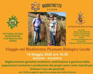 Piceno 14 maggio