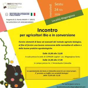 Incontro sud sardegna