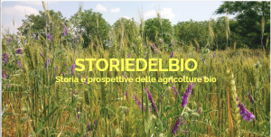 STORIE DEL BIO