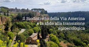 Biodistretto amerina video