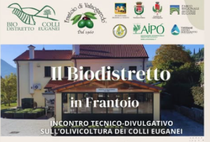 Biodistretto in frantoio