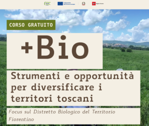 + BIO