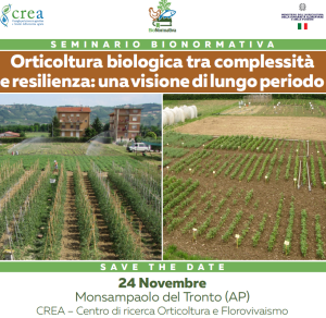 Monsampolo CREA nov